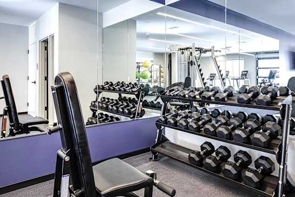 A gym with a purple wall and a variety of weights.