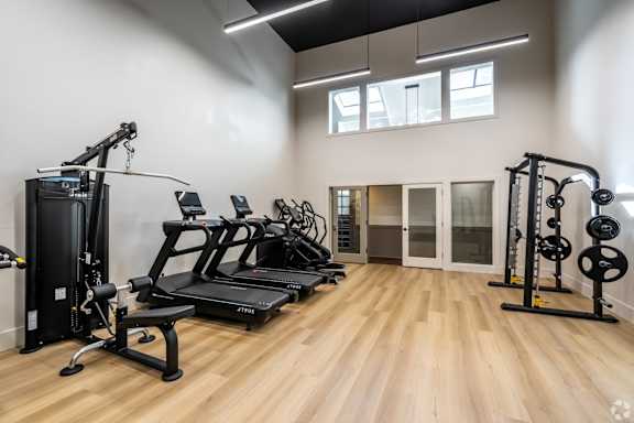 A spacious home gym with a variety of equipment including treadmills, weight machines, and benches.