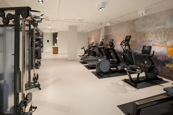 a group of exercise machines in a gym with a mural on the wall at Liza Apartments, Seattle, 98102