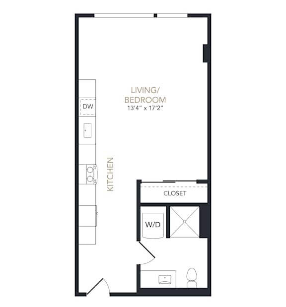 A floor plan of a small apartment with a living room, kitchen, and closet.