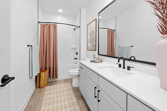 A bathroom with a white sink and a brown rug.