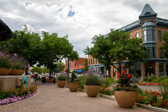 a city street with flowers and trees and buildings
