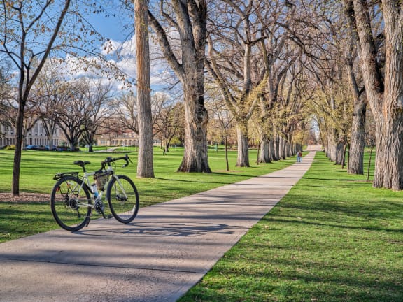 a bike parked on a sidewalk in a park