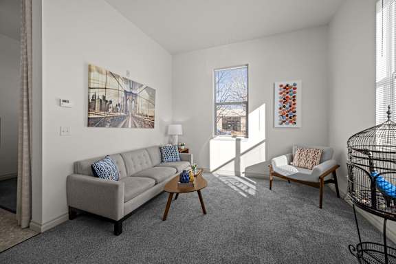 A living room with a grey couch, a wooden coffee table, a chair, a painting, a lamp, and a birdcage.