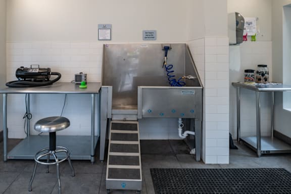 Pet grooming station with stainless steel tub at Edgewater Apartments, Boise, 83703