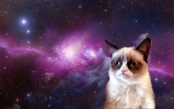 a cat with blue eyes and a purple nebula in the background