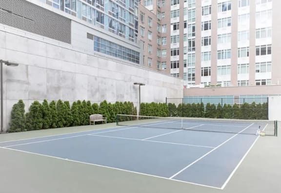 A tennis court is surrounded by a wall and a row of trees.