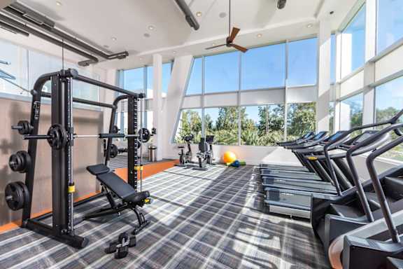 A gym with a row of treadmills and a weight bench.