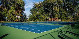 a tennis court is shown with trees in the background