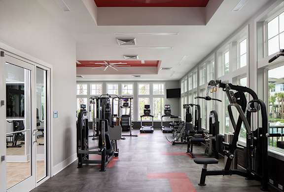 fitness