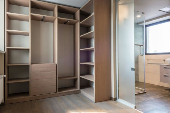 a bathroom with a large closet with shelves and a sink