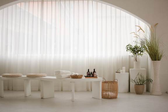 A white room with a table and chairs and a plant.