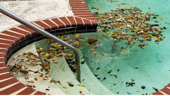 A pool with leaves floating on the water.