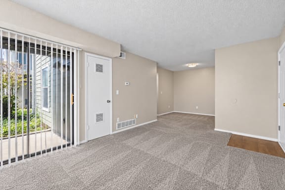 A spacious room with a carpeted floor and sliding glass doors.