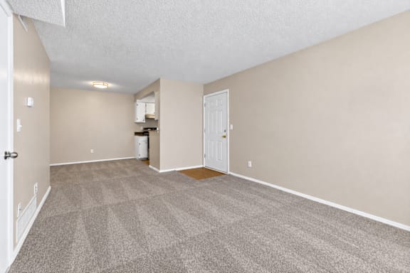 A room with a carpeted floor and a white door.