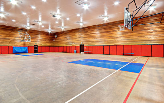 Basketball Court at Chambers Creek Estates, WA 98467