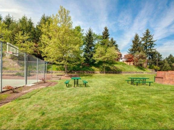 Chambers Creek Picnic Area