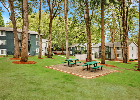Cornell Woods picnic area, Portland, OR, 97229