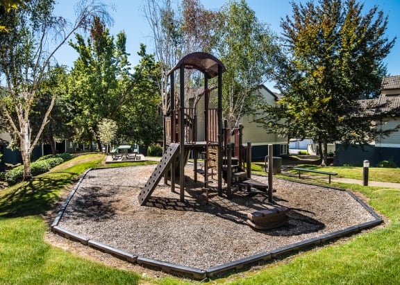 Park Playground at Hathaway Court Apartments, Wilsonville, OR