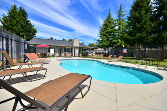 Maple Pointe Apartments Pool & Lounge Chairs