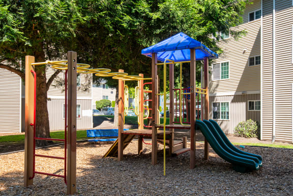 Riverwood play structure