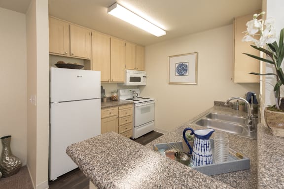 Rocklin Gold Model Kitchen Bar