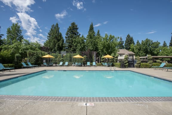 Stanford Heights swimming pool side view