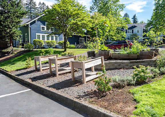 Stillwater community garden, Hillsboro, Oregon, 97124