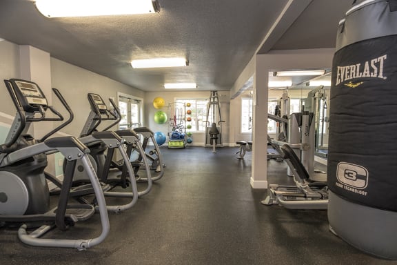 Fitness Center Equipment at Woodbridge Apartments, CA 95833