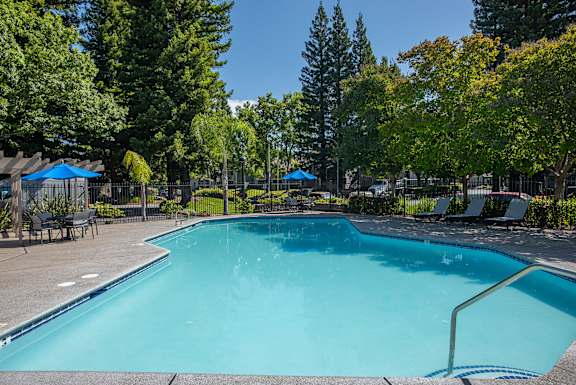 A large outdoor swimming pool surrounded by trees and lounge chairs at Zinfandel Village Apartments, California, 95670