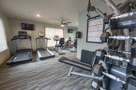 A well equipped gym with treadmills, elliptical machines, and dumbbells.