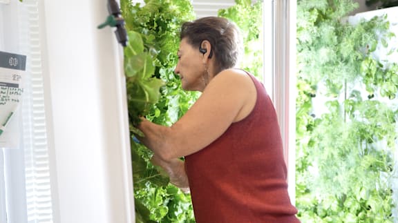A man in a red shirt is adjusting a plant on a hanging shelf.