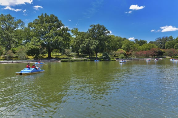 people in boats on a lake on a sunny day