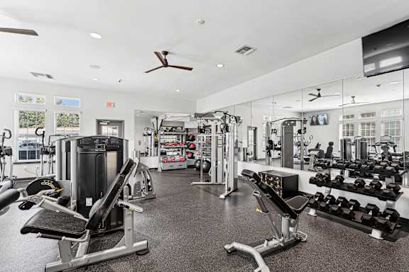 A gym with a variety of equipment including a weight bench, a squat rack, and a treadmill.