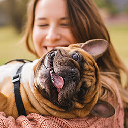 Pet Friendly Community at Comet Bermuda Run, North Carolina, 27006