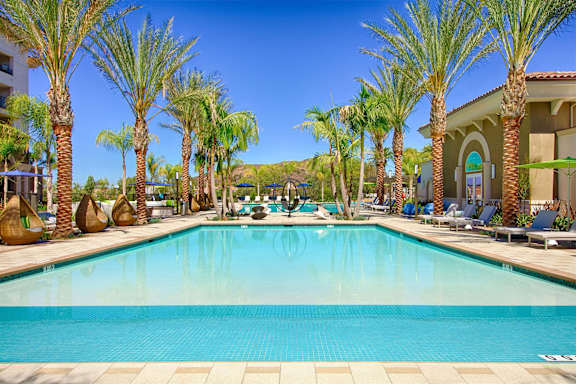 A large swimming pool surrounded by palm trees.