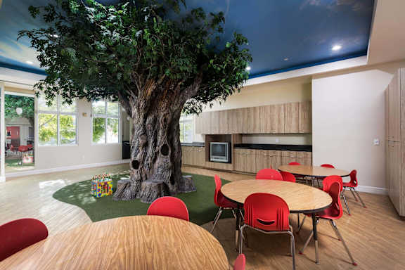 A room with a tree and chairs.