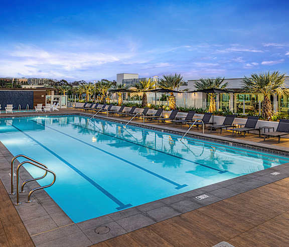 A large outdoor swimming pool with lounge chairs and palm trees in the background.