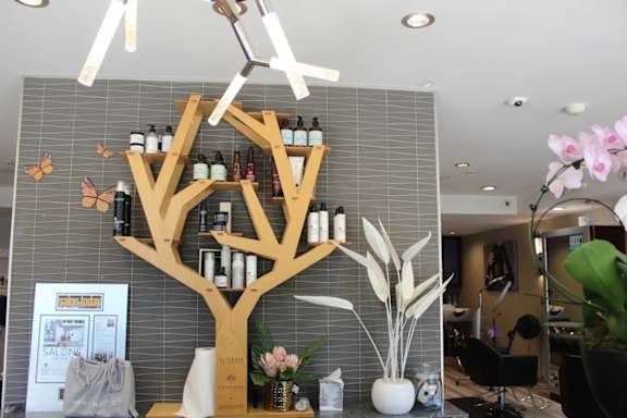 Salon interior with tree shaped shelving display at Torrey Gardens Apartments, San Diego, CA