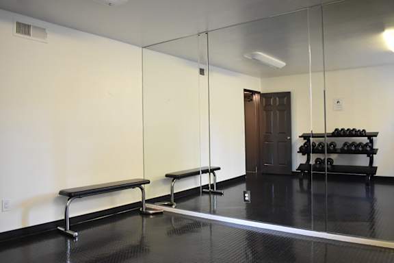 Fitness Center with Mirror at Encino Palms Apartments in Encino, CA