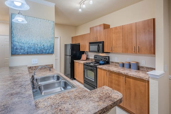 Delano at Cypress Creek - black GE appliances with microwave