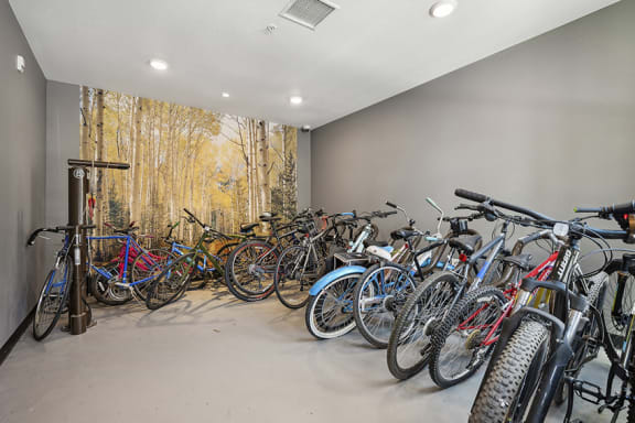 Bike storage - Rise at 2534