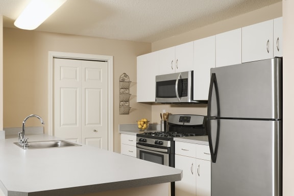 Stainless steel appliances - Hampshire Green Apartments