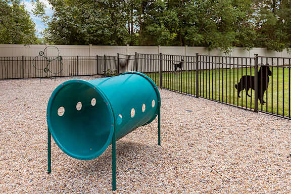 Fenced paw park - Courtney Station Apartments
