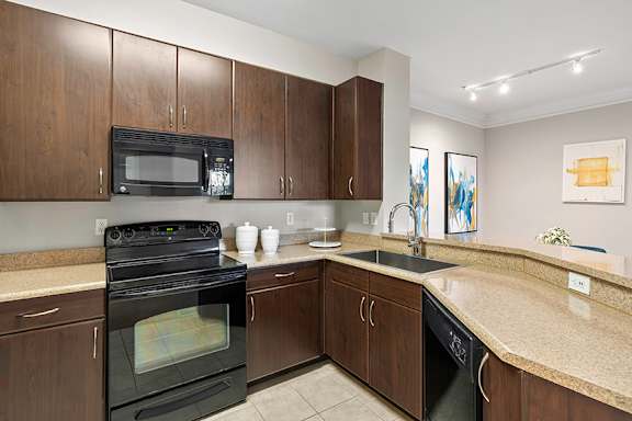 Upgraded black appliance package with glass top range - Courtney Station Apartments