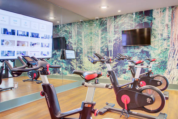 Rise at 2534 fitness on demand