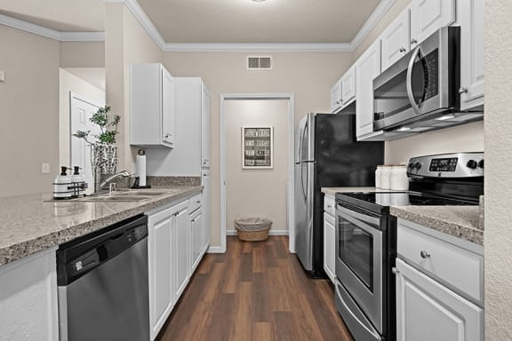 Stainless steel appliances - Willow Spring Apartments