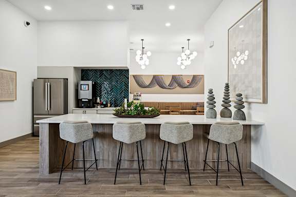 Cyber café with coffee bar - Acadia at Cornerstar Apartments