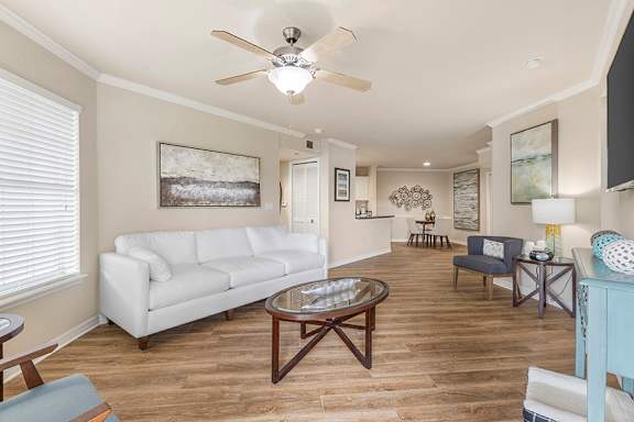 Crown molding - Egret's Landing Apartments