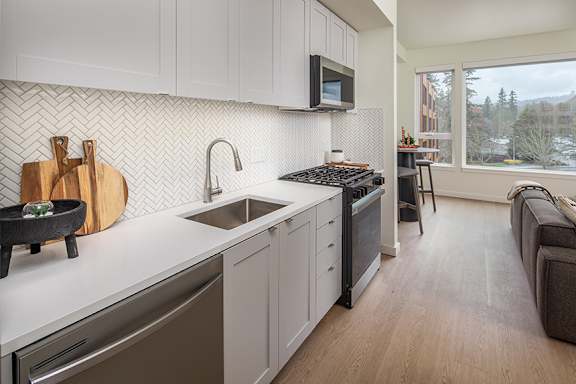 Modern shaker cabinets - Willow Apartments